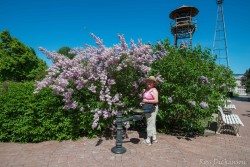 HulgaKlagerLilacGardens-_0RD0873-Edit.JPG