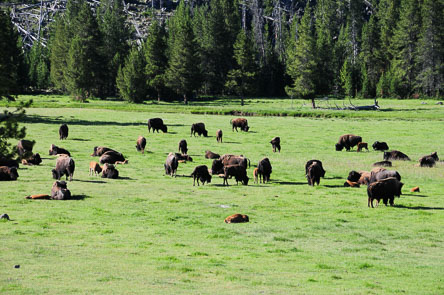 July 3, 2012 - Madison to Old Faithful