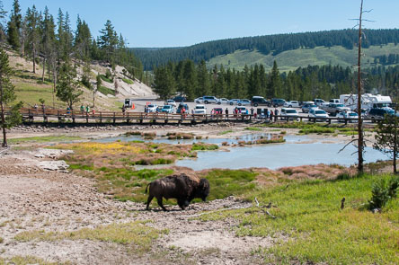 July 9, 2012 - Return to the Mud Pots area