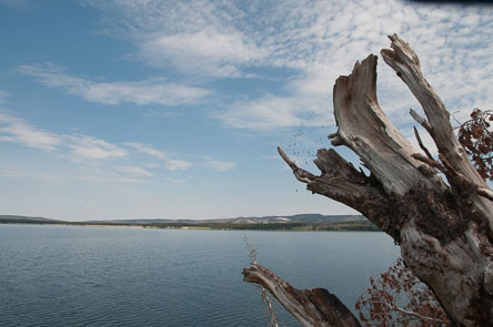 July 10,2012 - Visited Pelican Creek, then traveled toward East Entrance