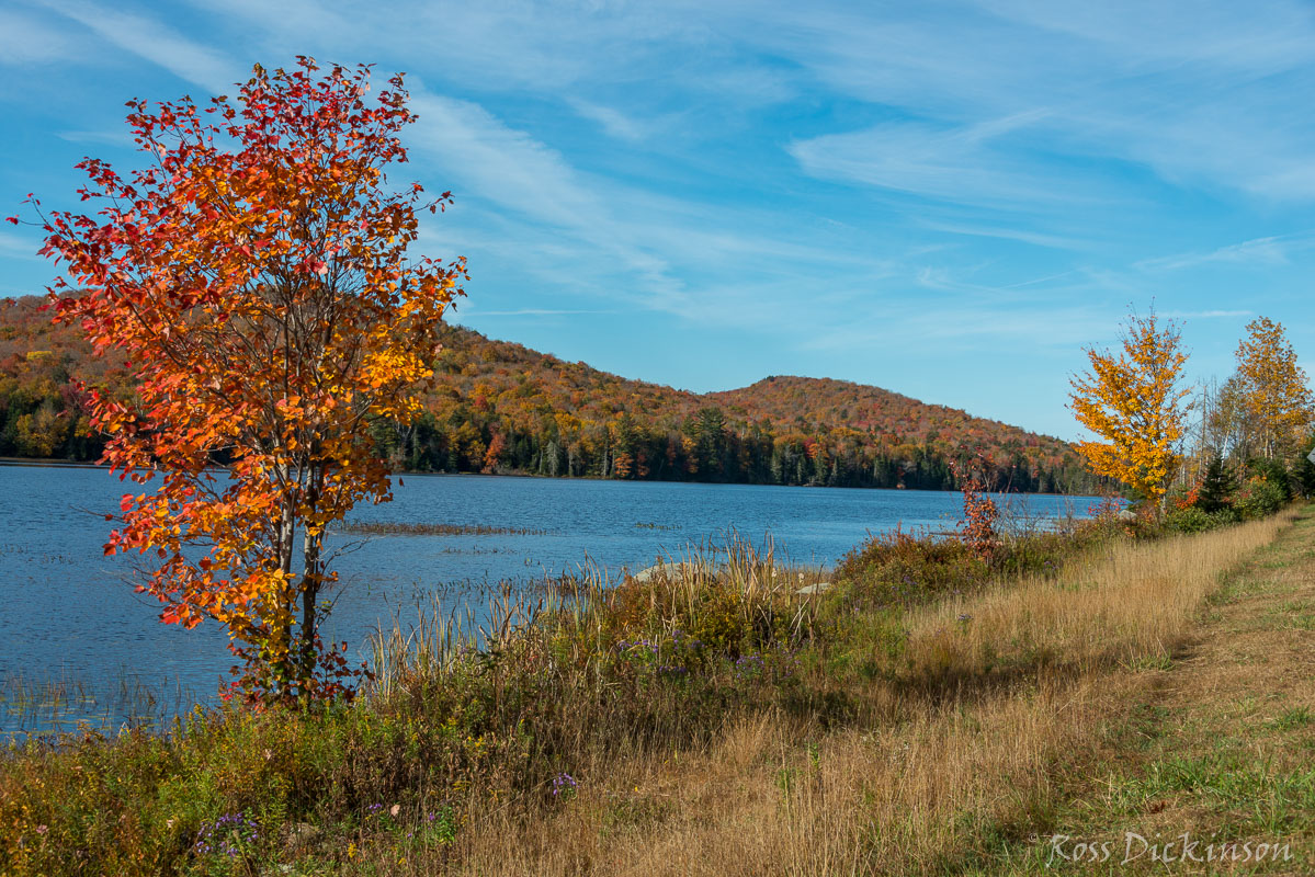 Adirondack-3308.jpg