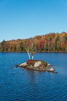 Adirondack-3347.jpg