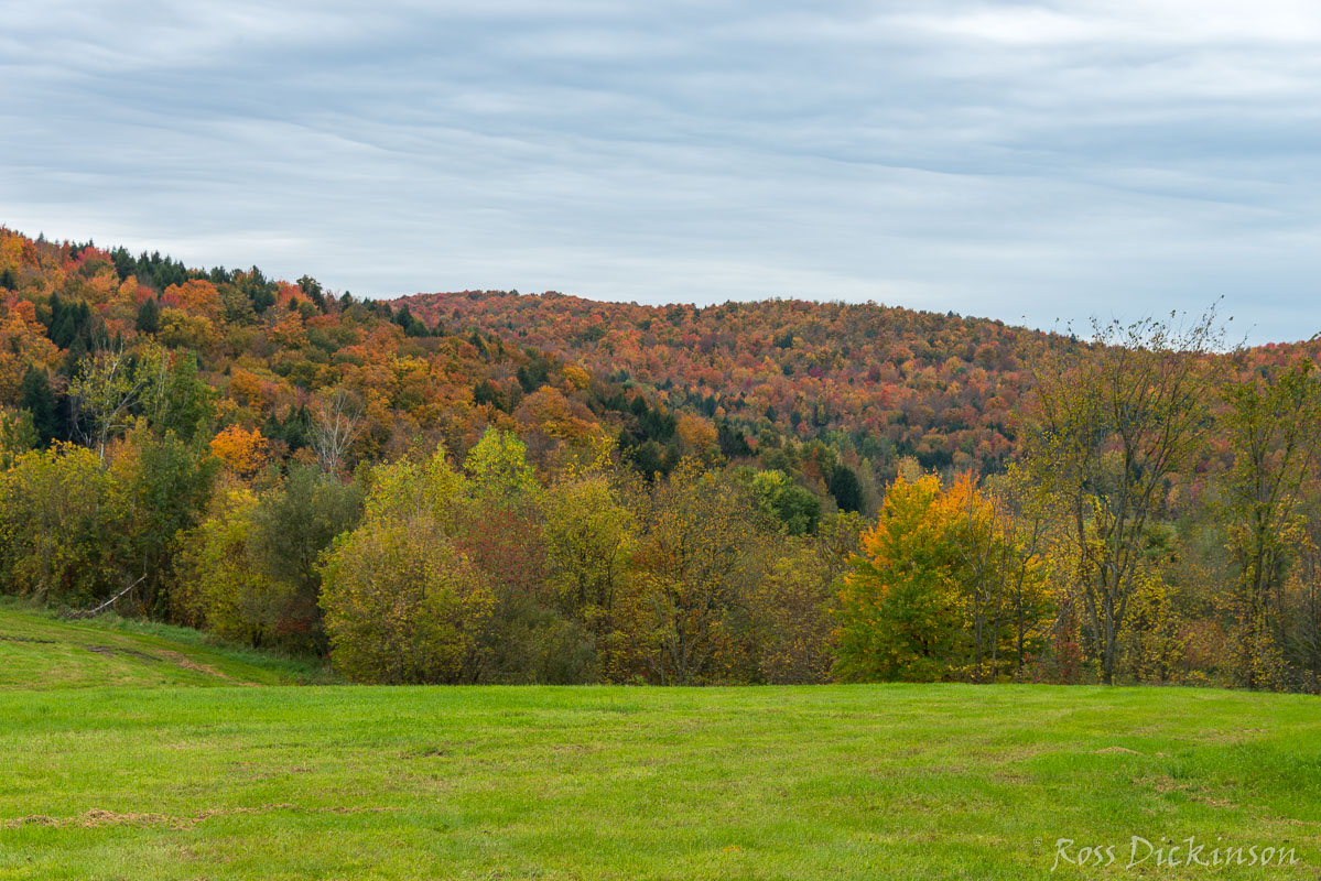 Vermont-3392.jpg