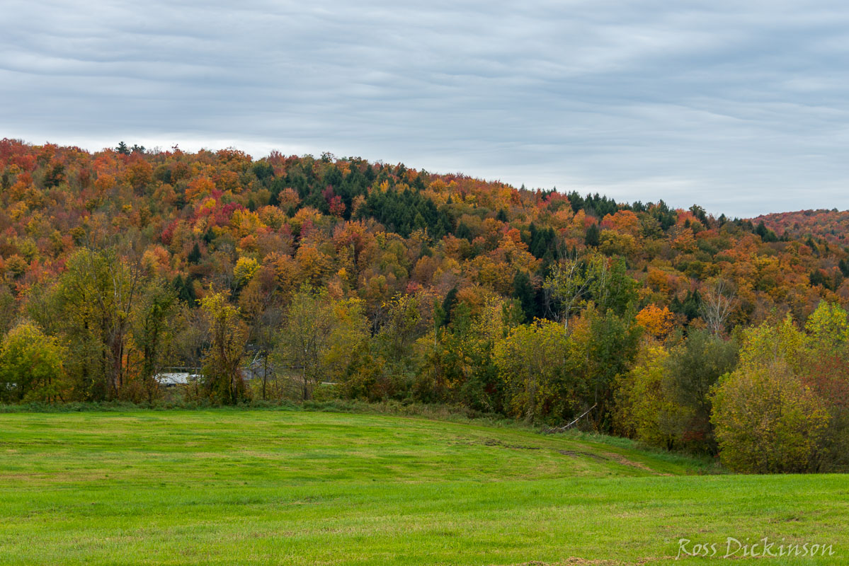 Vermont-3393.jpg