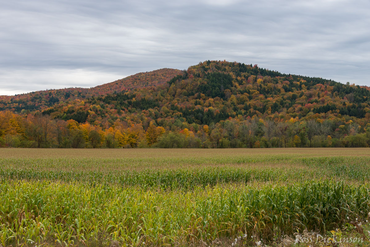 Vermont-3396.jpg