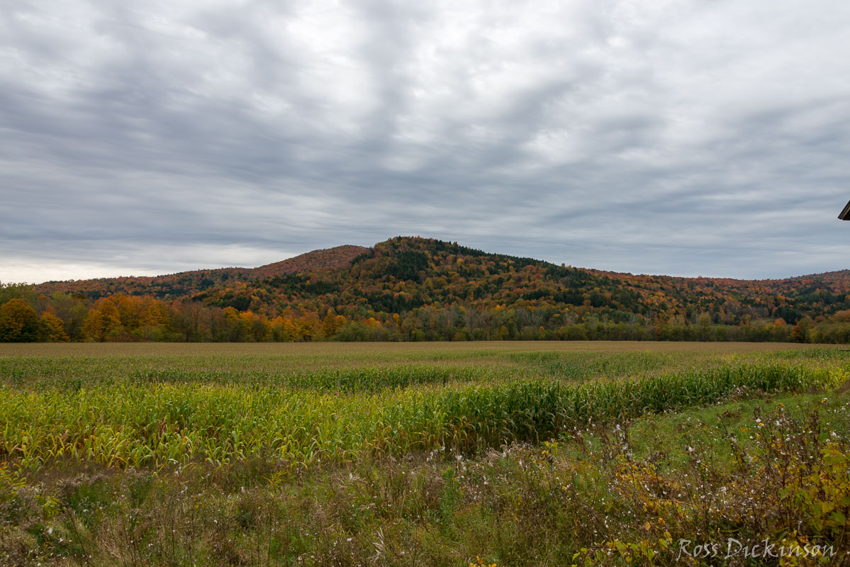 Vermont-3397.jpg