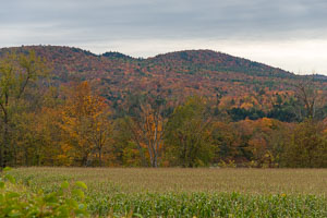 Vermont-3398.jpg