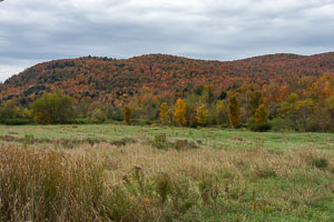 Vermont-3403.jpg