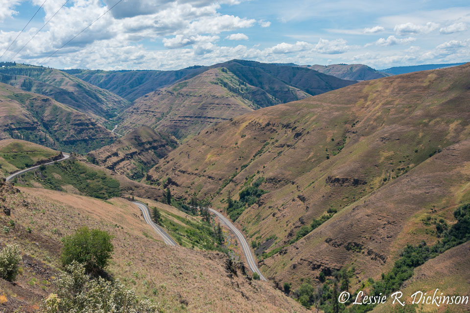 Huckleberry-4985-HDR.jpg