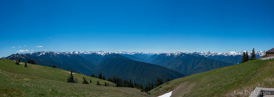 HurricaneRidge-5856-Pano.jpg