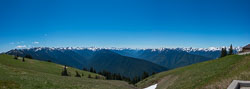 HurricaneRidge-5856-Pano.jpg