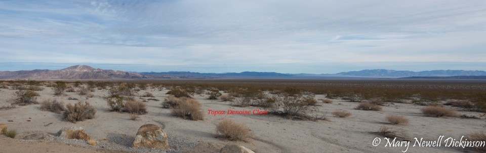 JoshuaTree-_1RD0168-Pano-Edit.jpg