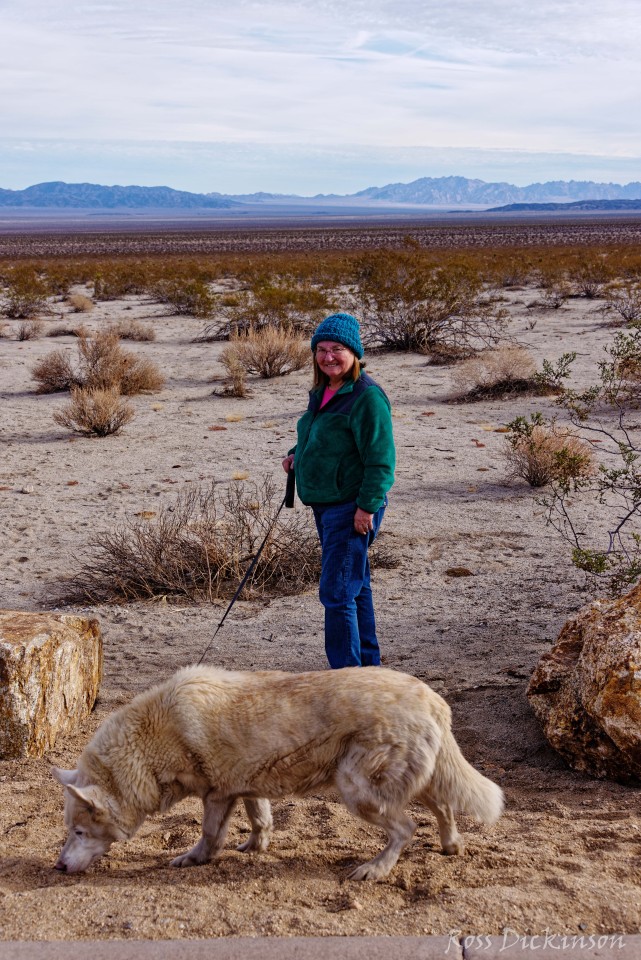 JoshuaTree-_1RD0170_DxO.jpg