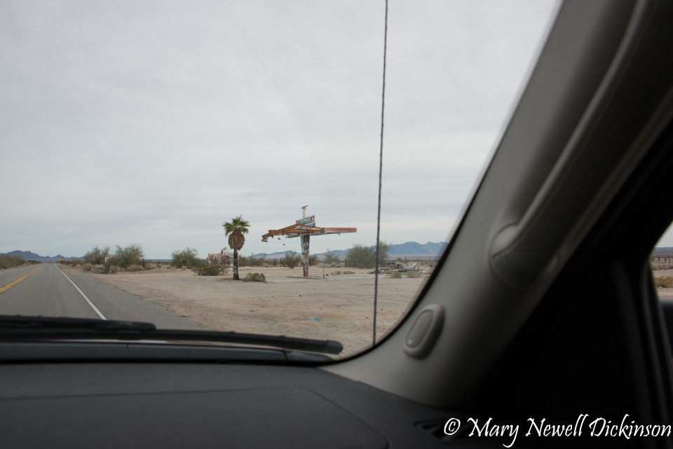 JoshuaTree-_1RD0322-Edit.jpg