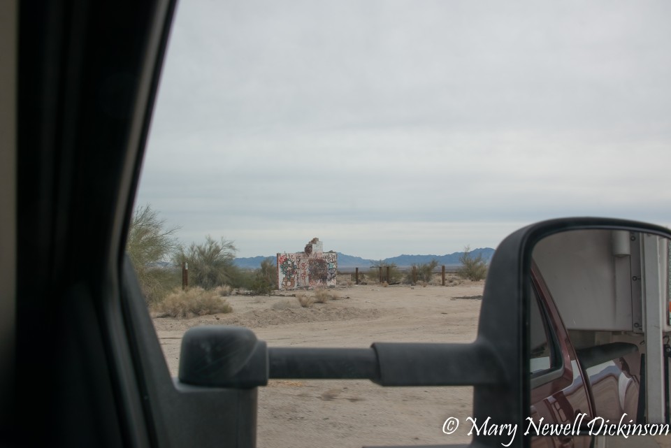 JoshuaTree-_1RD0324-Edit.jpg