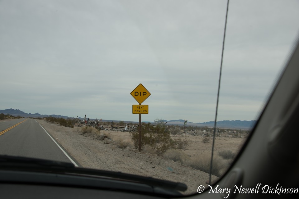 JoshuaTree-_1RD0326-Edit.jpg