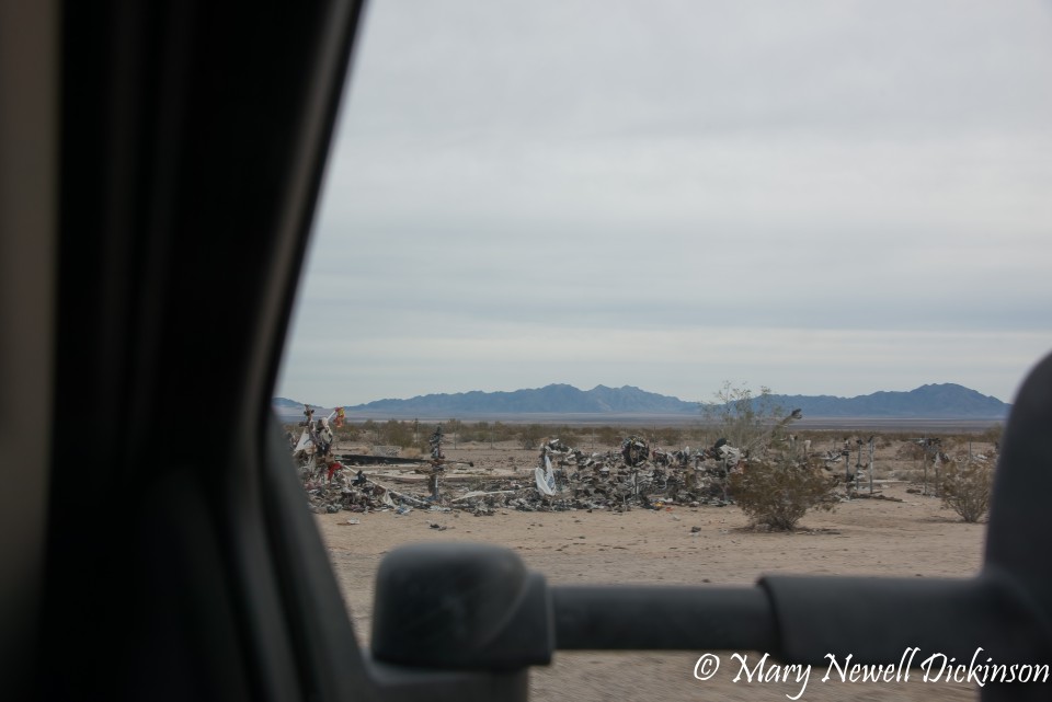 JoshuaTree-_1RD0327-Edit.jpg