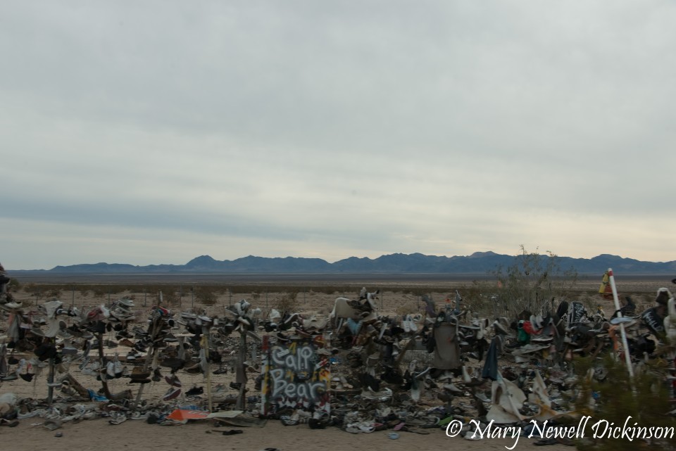 JoshuaTree-_1RD0328-Edit.jpg