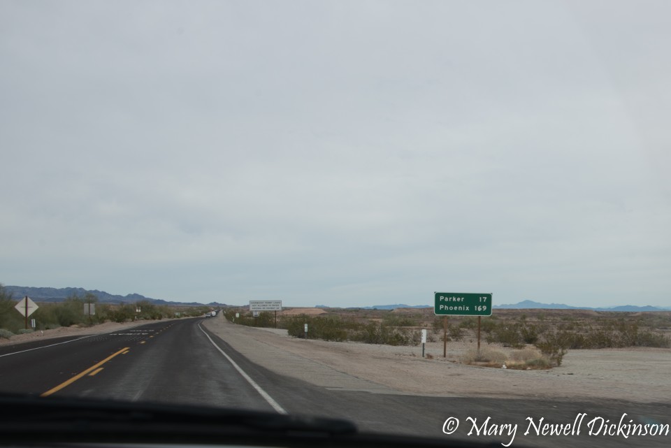 JoshuaTree-_1RD0330.jpg