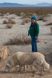 JoshuaTree-_1RD0170-Edit.jpg