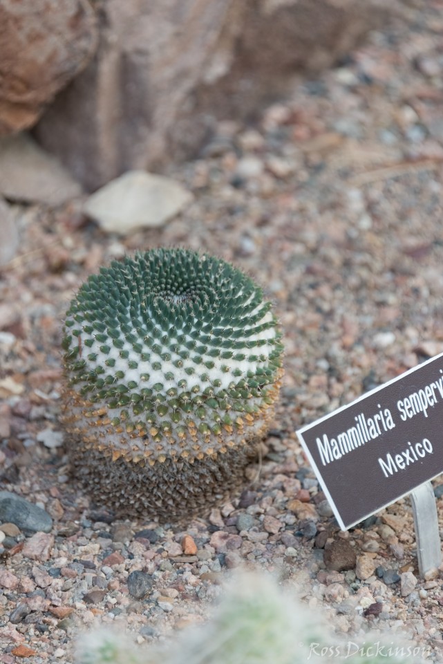 BoyceThompsonArboretum-_1RD0910-Edit.jpg