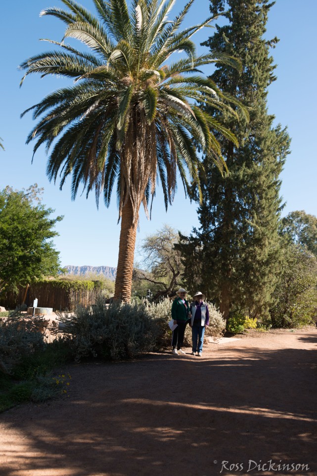 BoyceThompsonArboretum-_1RD0915-Edit.jpg