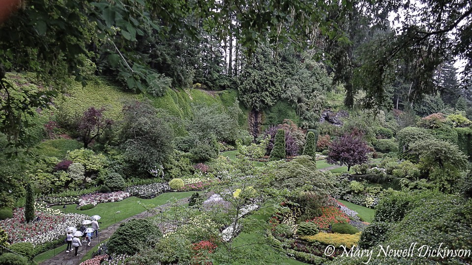 MaryVictoriaBC-DSC02760_DxO.JPG