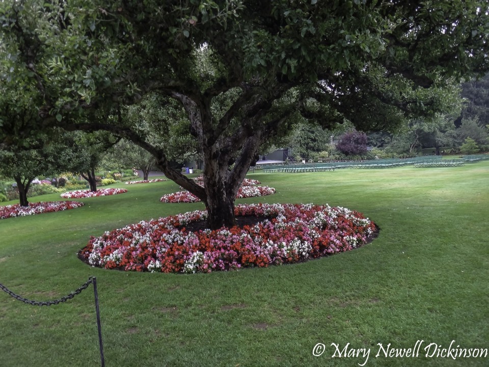 MaryVictoriaBC-DSC02925-Edit.JPG