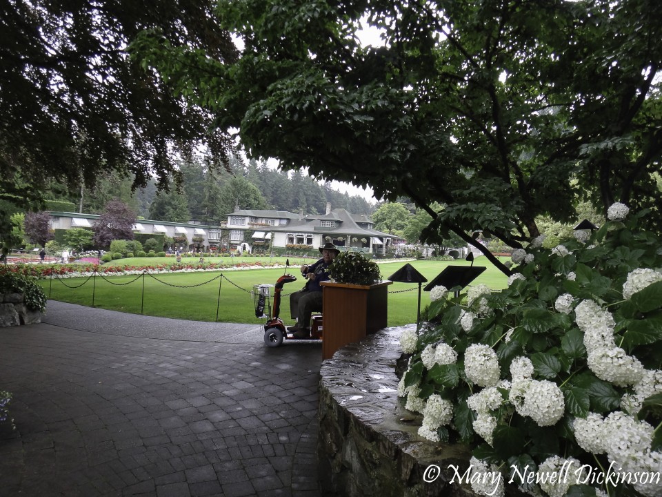 MaryVictoriaBC-DSC03020_DxO.JPG