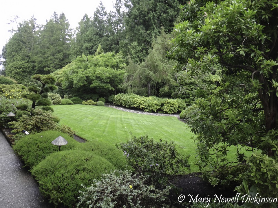 MaryVictoriaBC-DSC03028_DxO.JPG