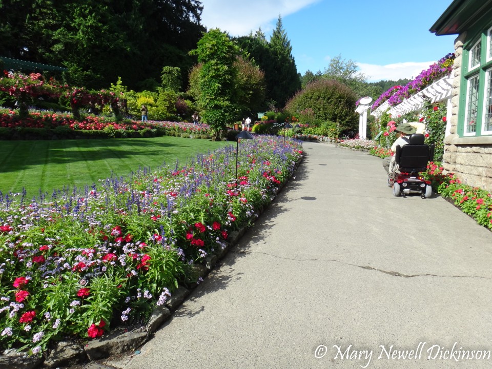 MaryVictoriaBC-DSC03083.jpg