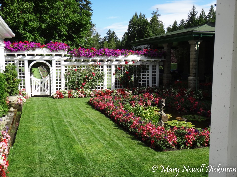 MaryVictoriaBC-DSC03089_DxO.jpg