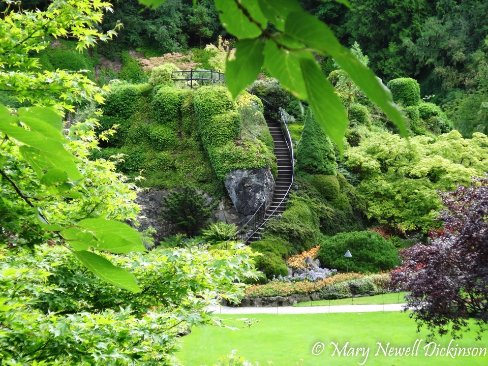 MaryVictoriaBC-DSC03122_DxO.jpg