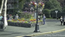 MaryVictoriaBC-DSC02711_DxO.JPG