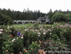 MaryVictoriaBC-DSC03003_DxO.JPG