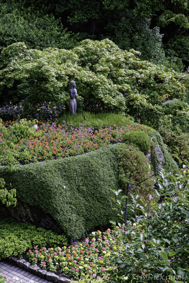 ButchartGardens-_1RD7825_DxO.JPG